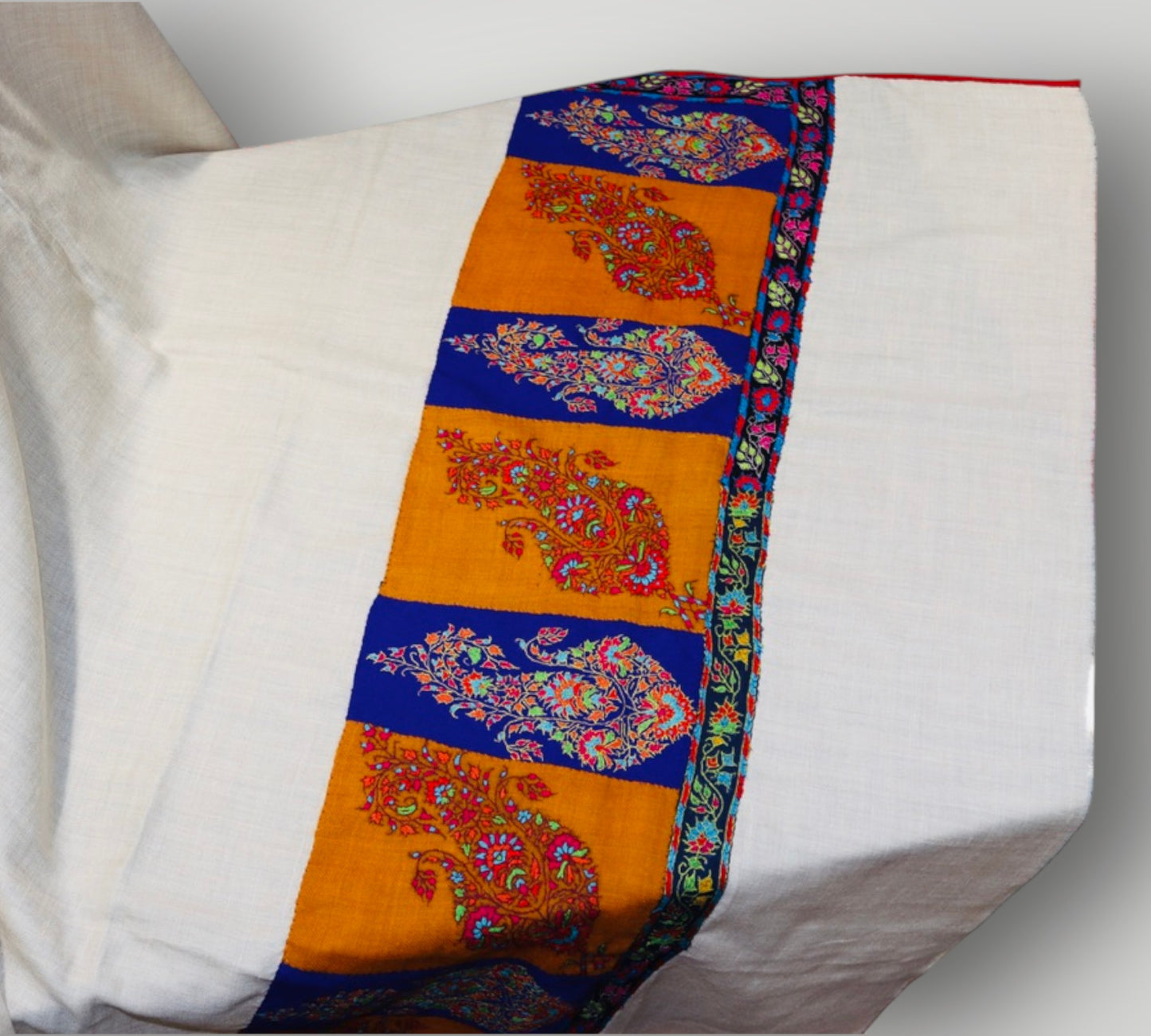 White Pure Pashmina Handmade Kalamkari Border Shawl